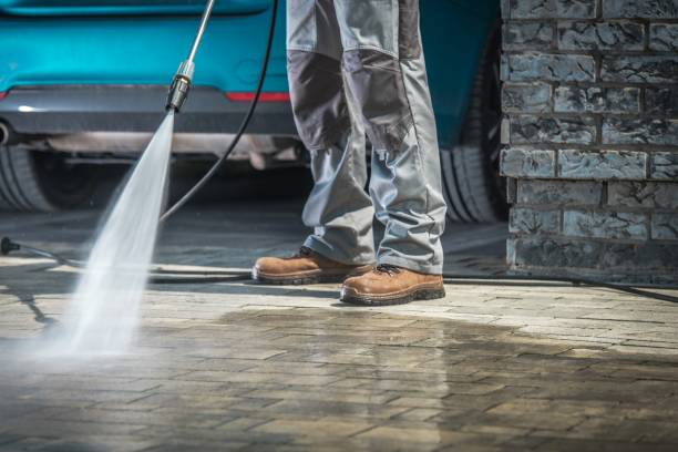 Best Rust Removal  in La Fayette, AL