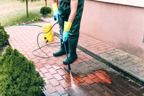 Professional  Pressure Washing Services in La Fayette, AL