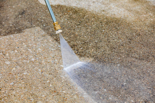 Best Spring Cleaning  in La Fayette, AL