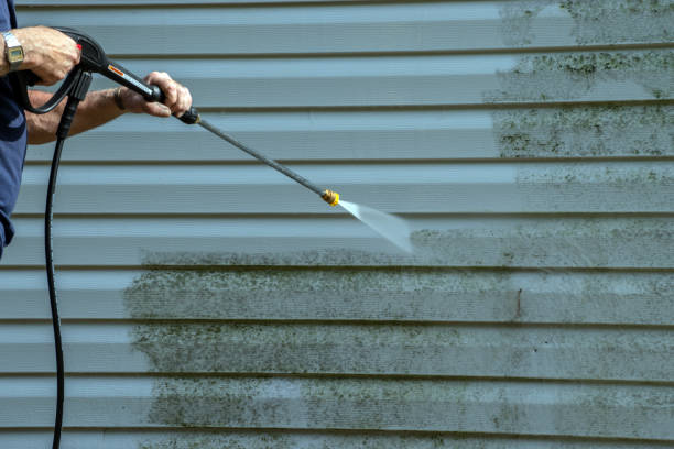 Best Dumpster Area Cleaning  in La Fayette, AL